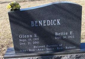 Glenn E. Benedick (1867202.jpg)