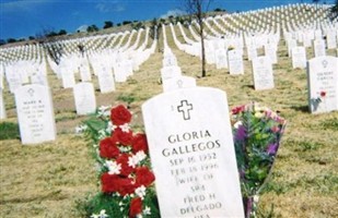 Gloria Gallegos Delgado Gloria Gallegos Delgado