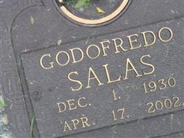 Godofredo Salas