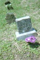 Golda Dial Golda Dial