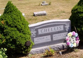 Goldie A. Chellis