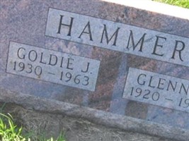 Goldie J Hammer