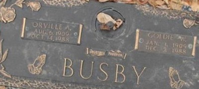 Goldie W Busby Goldie W Busby