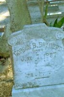 Gordon B. Brainerd (2205889.jpg) Gordon B. Brainerd (2205889.jpg)