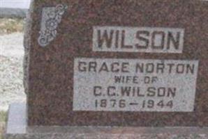 Grace Norton Wilson