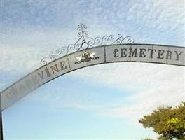 Grapevine Cemetery