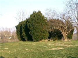 Grassy Lick Cemetery