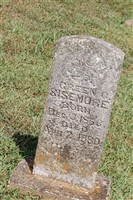 Green C Sisemore Green C Sisemore