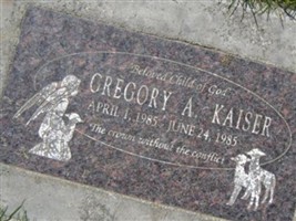 Gregory A Kaiser