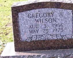 Gregory A Wilson