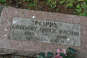 Gregory Bruce Walton
