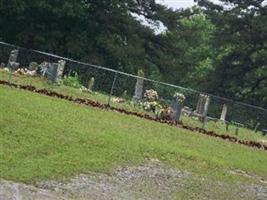 Lone Grove Cemetery (Saint Vincent)