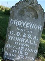Grovenor Worrall