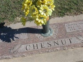 Grover Wilson Chesnut
