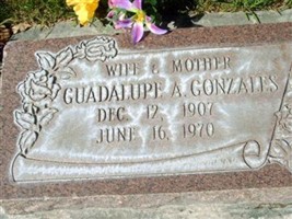 Guadalupe A Gonzales Guadalupe A Gonzales