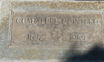 Guadalupe Colunga Quintero Guadalupe Colunga Quintero