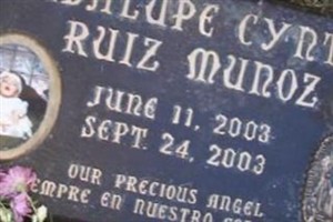 Guadalupe Cynthia Ruiz Munoz Guadalupe Cynthia Ruiz Munoz
