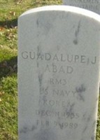 Guadalupe J Abad