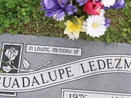 Guadalupe Ledezma Guadalupe Ledezma