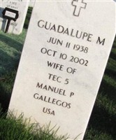 Guadalupe M Gallegos Guadalupe M Gallegos