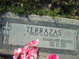 Guadalupe Rosales Terrazas
