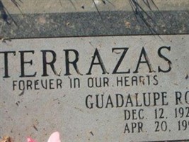 Guadalupe Rosales Terrazas Guadalupe Rosales Terrazas