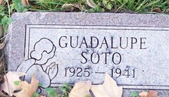 Guadalupe Soto