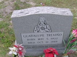 Guadalupe Trevino