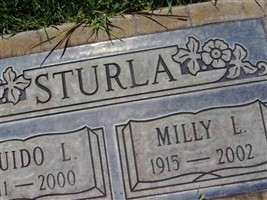 Guido L Sturla