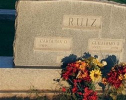Guillermo B Ruiz