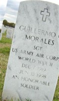 Guillermo G Morales Guillermo G Morales