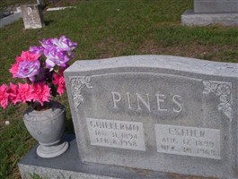 Guillermo Pines Guillermo Pines