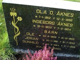 Gunhild O. Aaknes Gunhild O. Aaknes