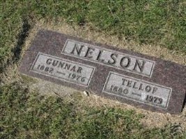 Gunnar Nelson