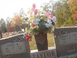 Gurvis M Taylor Gurvis M Taylor