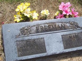 Gus Freeman
