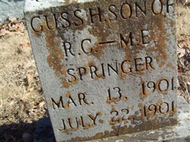 Guss H Springer