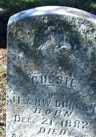Gussie Duncan Gussie Duncan