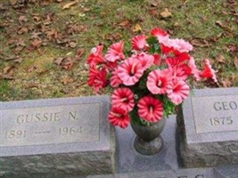 Gussie Naomi Weems Rhodes