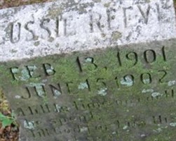 Gussie Reeve