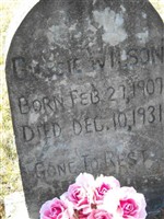 Gussie Wilson