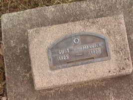 Gust Mavrick Gust Mavrick