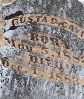 Gustad Cavin Gustad Cavin