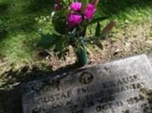 Gustaf Emil Krause