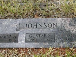 Gustaf S. Johnson