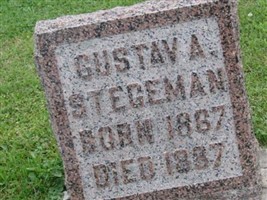 Gustav A Stegeman Gustav A Stegeman