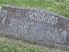 Gustav P. Carlson Gustav P. Carlson