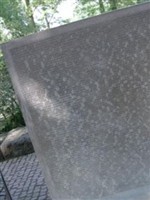 Gustav Siefgried Gustav Siefgried
