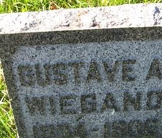 Gustave A Wiegand Gustave A Wiegand