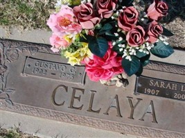 Gustavo C Celaya